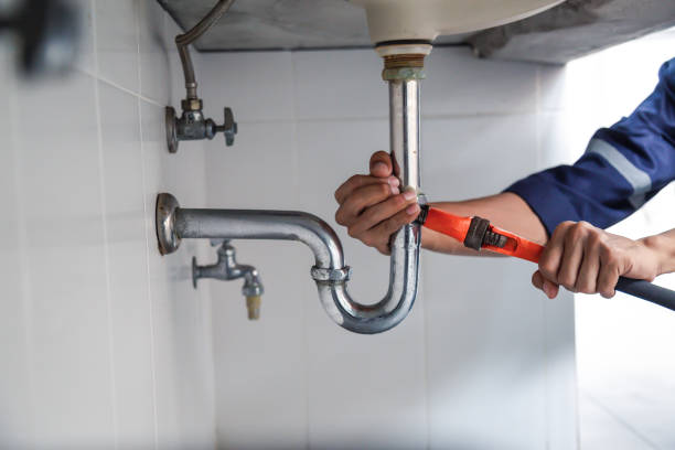 Best Plumbing Inspection Services  in Tlassee, AL
