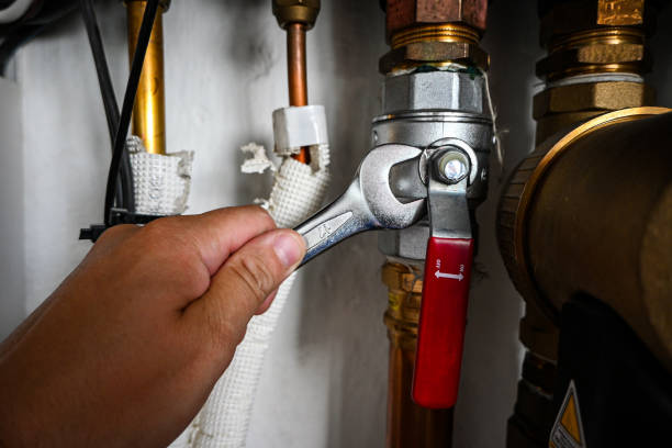 Best Toilet Repair Services  in Tlassee, AL